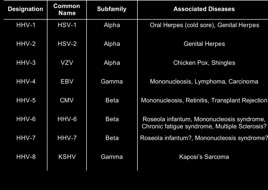 Herpesviridae- Infection and Disease Herpes Simplex Virus (HSV) There are two types with very similar characteristics HSV-1 (HHV-1) HSV-2 (HHV-2) The genome of HSV encodes a number of enzymes,
