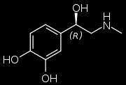 Norepinephrine (NA) Dopamine (DA) Serotonin (5-HT) Amino Acids