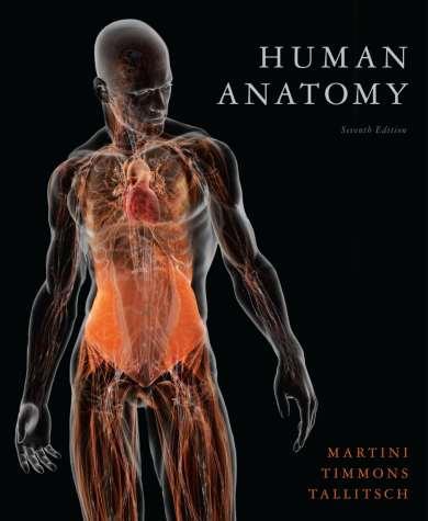 Welcome to ANAT 10A! What is Anatomy?