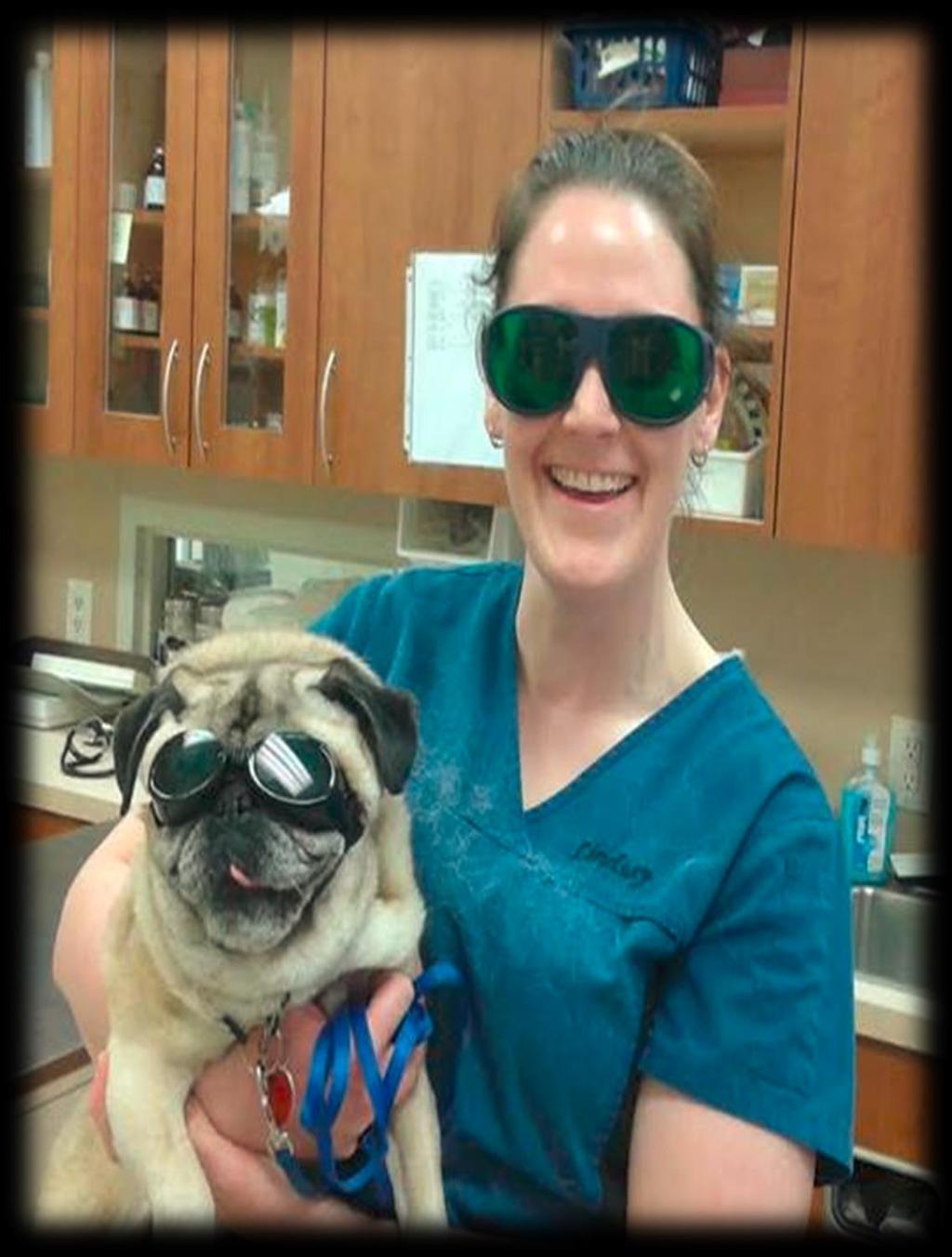How can you get started with Laser Therapy?