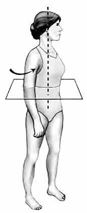 Practice it! Exam questions 1. Figure 1 shows one plane and one axis of the human body. The plane is represented by the square. The axis is represented by the dotted line.
