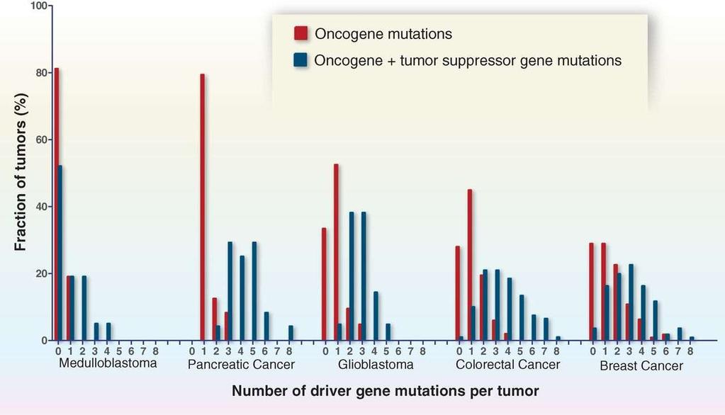 Key driver gene mutation in GBM Cancer Genome