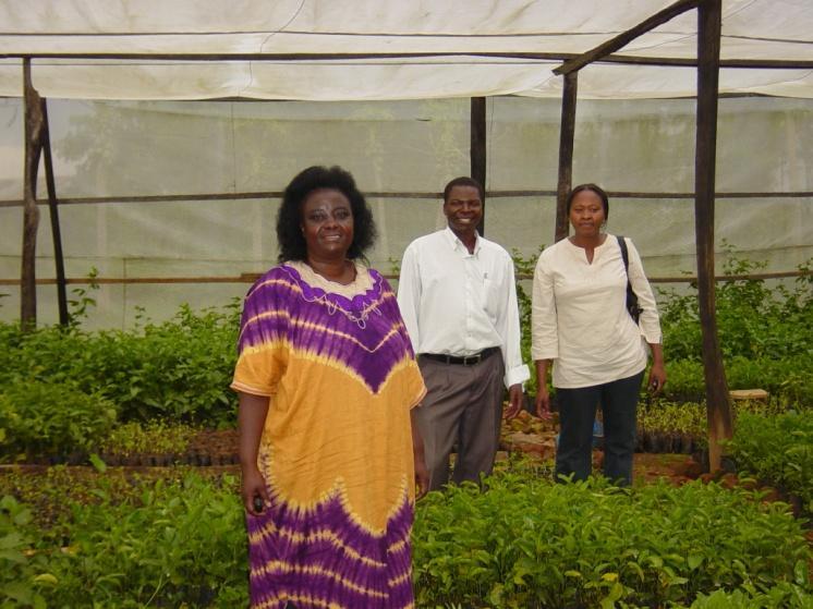 men Gender integration means looking beyond women s role as farm