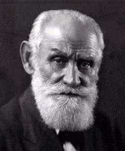 Pavlov s Legacy Pavlov s greatest contribution to psychology is isolating elementary