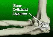 Ulnar Collateral Ligament (UCL) Medial