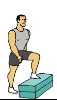 Drive other knee up in a moderate to fast jog with minimal ground contact time. Fast Feet on Box Fast Feet on Box 1.