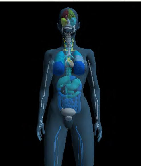 The EIS scans the whole body in 3 minutes, and provides some functional information about body organs activity and some biochemical measurements.