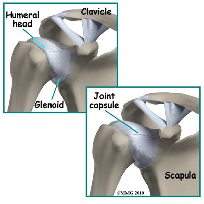 The shoulder joint is surrounded by a water tight pocket called the joint capsule. This capsule is formed by the rotator cuff tendons, ligaments, connective tissue and synovial tissue.