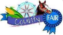 This month the club will have a booth at the fair grounds, volunteers are still needed for security watch and material for show cases, any help is appreciated!