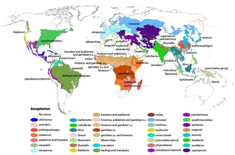 Running head: VECTOR-BORNE DISEASES: MALARIA IN SUB-SAHARAN AFRICA 3 question is, do all mosquitoes carry this disease?