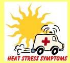 HEAT STROKE Occurs when the core body temperature rises above 40ºC This condition is caused by a combination of highly variable factors, and its occurrence is difficult to predict Heat stroke is a