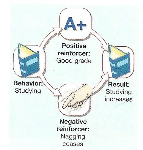 Operant Conditioning Positive Reinforcement response is followed by the presentation of or increase in intensity of a reinforcing stimulus; as a result the response becomes stronger or more likely to