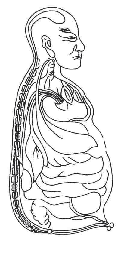 Illustration of the dumai vessel along the spine of the human body (Wu Qian, Golden Mirror of Medicine) experience of men in ancient China as well as the cultural and social ramifications of the art