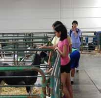 Little Hands on the Farm - Agricultural Education Area - $10,000 One of the most beloved areas of the Fair, Little Hands on the Farm is an educational area where little ones learn about the entire