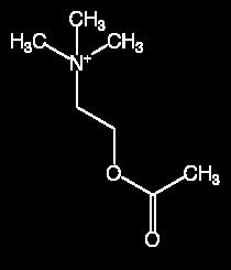Biogenic Amines Biogenic amines Acetylcholine Catecholamines Dopamine Norepinephrine