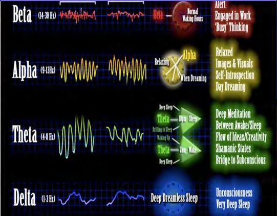 found that 4 basic types of brain wave are associated with electroencephalogram (EEG) record.