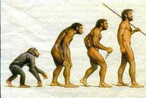 Evolution inevitably