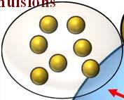 Laboratory Hydrogel Beads Filled Hydrogel Beads Solid Lipid Nanoparticles Filled Liposomes Nutrient Delivery