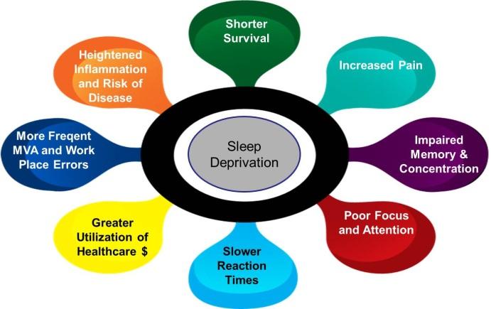 Sleep Health Ratcliff et al.