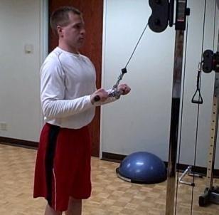 Tricep Pushdown Coaching Tips: Stand up straight; grab the cable bar with palms facing the floor.