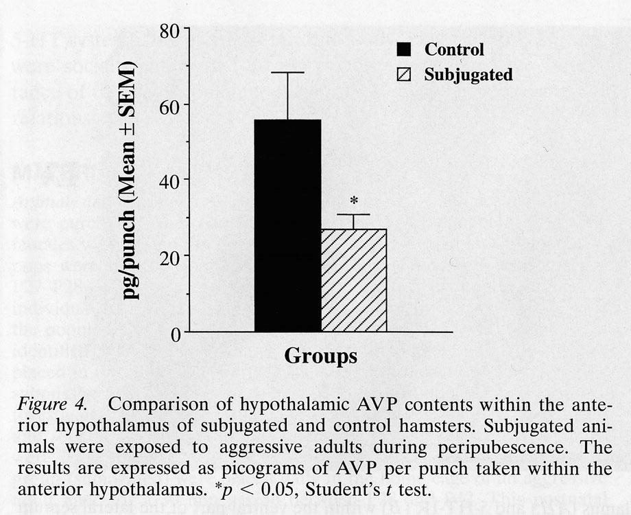 AVP in hypothalamus of