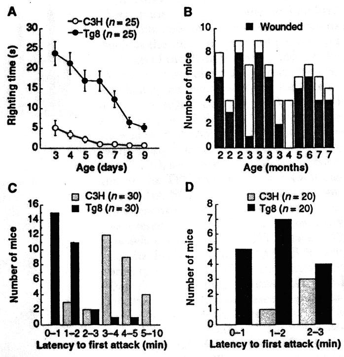 Aggression in MAOA knockout mice Behavioral alterations in MAOA knockout (Tg8) and controls (C3H). (A) righting response.