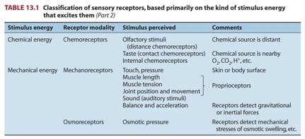 sensations Sensory Receptor cells often organized Properties of Receptor