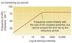 Detectable light intensity varies over 9 orders magnitude Detectable sound intensity varies