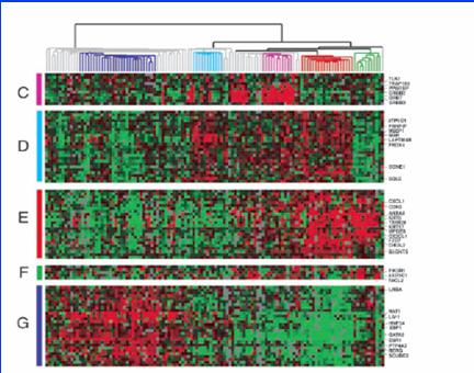 Genomic Profiling of Cancer: Breast Cancer is NOT One Disease! The Cancer Genome Atlas Network.