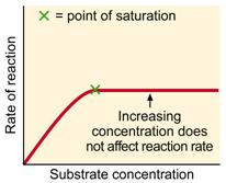 A competitive inhibitor will always decrease the rate of reaction, but the extent to which it does depends on the relative concentrations of substrate and inhibitor.