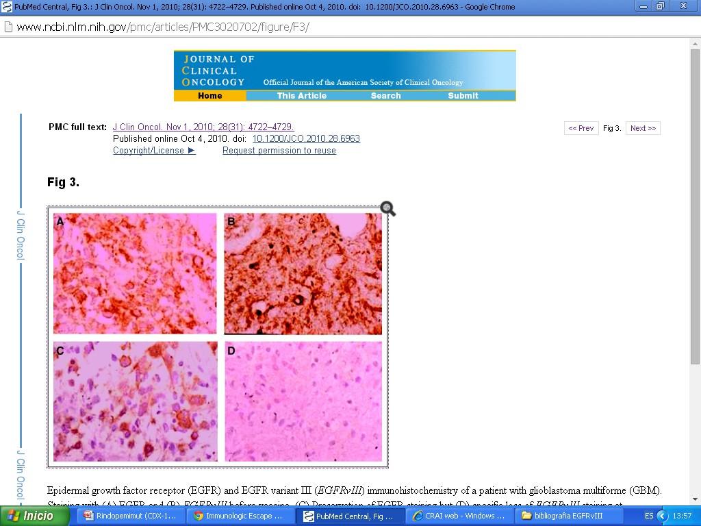ACTIVATE: immune response Humoral response 43% (6/14) DTH (delayed-type hypersensitivity) response 18% (3/17) Humoral and