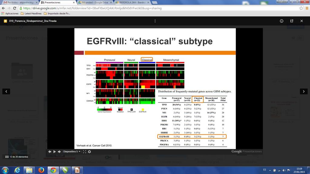 EGFRvIII: classical subtype