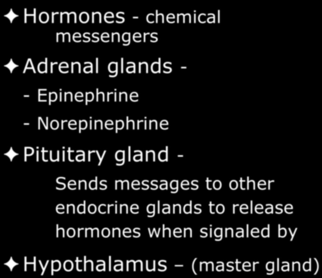Endocrine System Hormones - chemical messengers Adrenal glands - - Epinephrine - Norepinephrine Pituitary