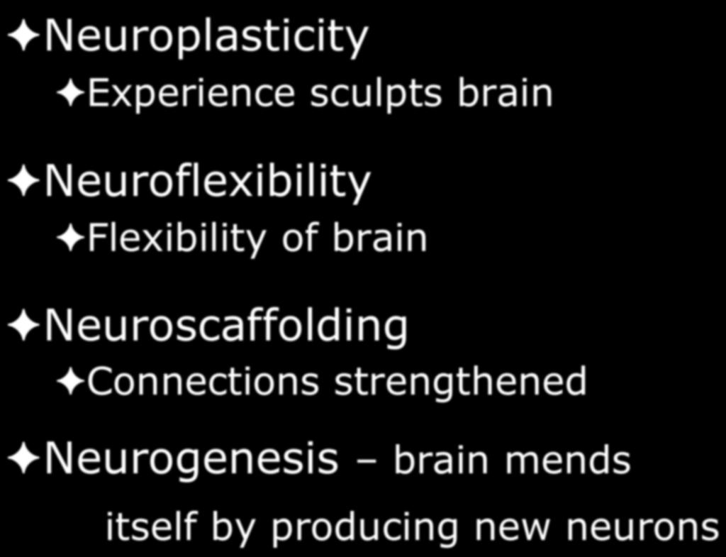 Regenerative powers Neuroplasticity Experience sculpts brain Neuroflexibility Flexibility of brain