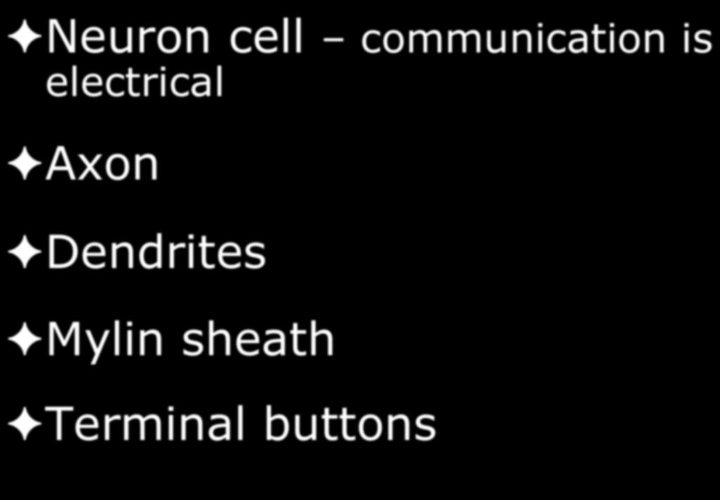 electrical Axon
