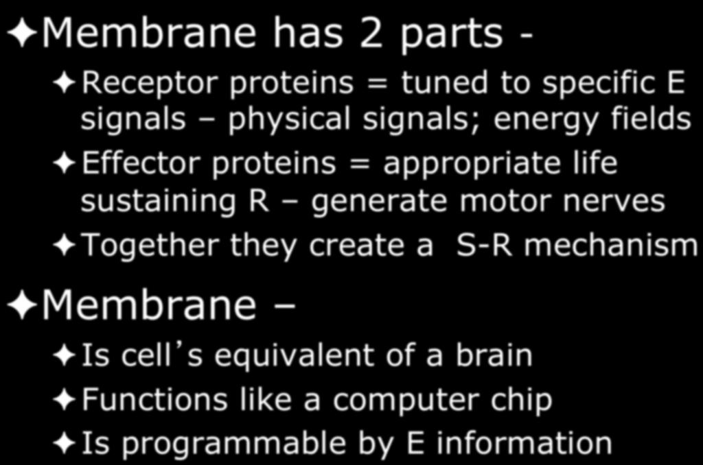Cellular Biology Membrane Membrane has 2 parts - Receptor proteins = tuned to specific E signals physical signals; energy fields Effector proteins = appropriate life