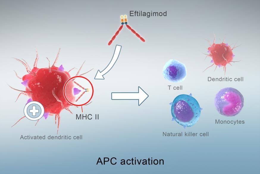 Eftilagimod Alpha: Innovative LAG-3 IO Product Candidate The only APC