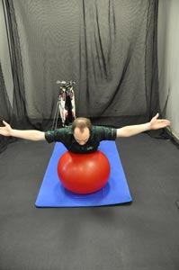This exercise improves the strength and stability of the upper body