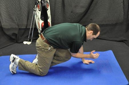 Bird Dog Alternating Arm And Leg This exercise helps build strength in the glutes and stability in the core at the same time.