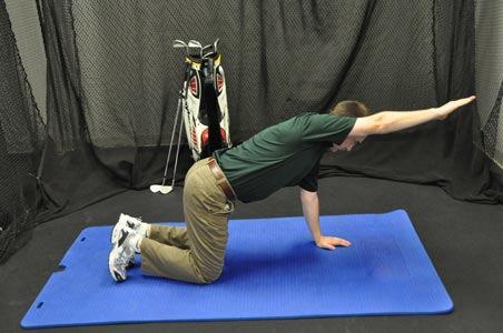 Bird Dog Arm Raise This exercise teaches you how to stabilize your core while you elevate your arms.