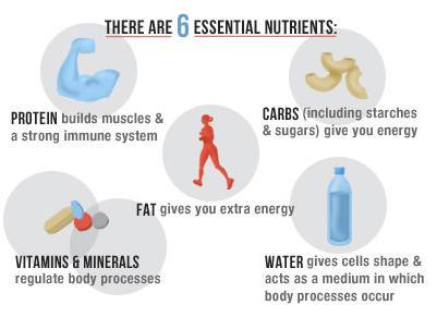 Nutrients a substance used for