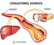 85% of cholesterol is produced in the