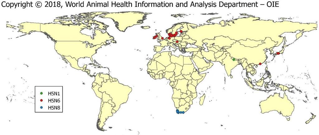 United Kingdom). The viruses responsible for these outbreaks were in subtypes H5N1, H5N6 and H5N8.
