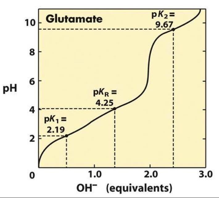 Example: Glutamate To calculate the isoelectric point