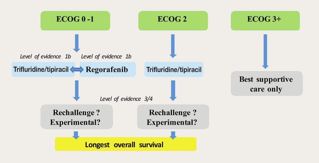 Figure 1. Salvage treatment in metastatic colorectal cancer according to performance status after failure of fluoropyrimidine, oxaliplatin, irinotecan, anti-vegf, and anti-egfr (if RAS wild-type).