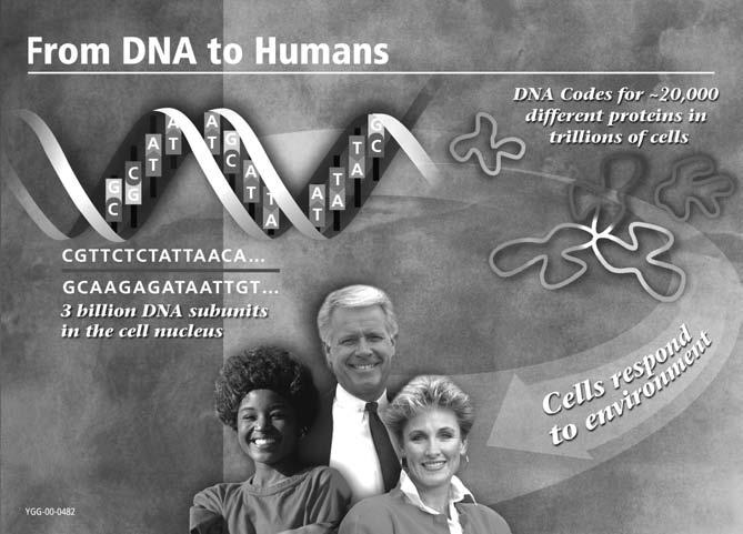 C h a p t e r 1 : G e n e t i c s 1 0 1 7 Thousands of diseases are known to be caused by changes in the DNA sequence of single genes.