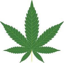 Microeconomics Term Paper-Econ 2010 Marijuana: The Marginal Costs and Benefits of Legalization Tawnie Hodges Wilson December 11, 2016 Weed, Grass, Herb, Green, Bud, Ganja, Mary Jane, Pot, Chronic,