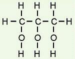 1. Simple Lipids a) Neutral Lipids