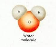 Diagrams: 1. Label the charges (positive or negative) on the water molecule below. Positive Negative 2. In the the diagram below, what do the lines between the individual atoms stand for?