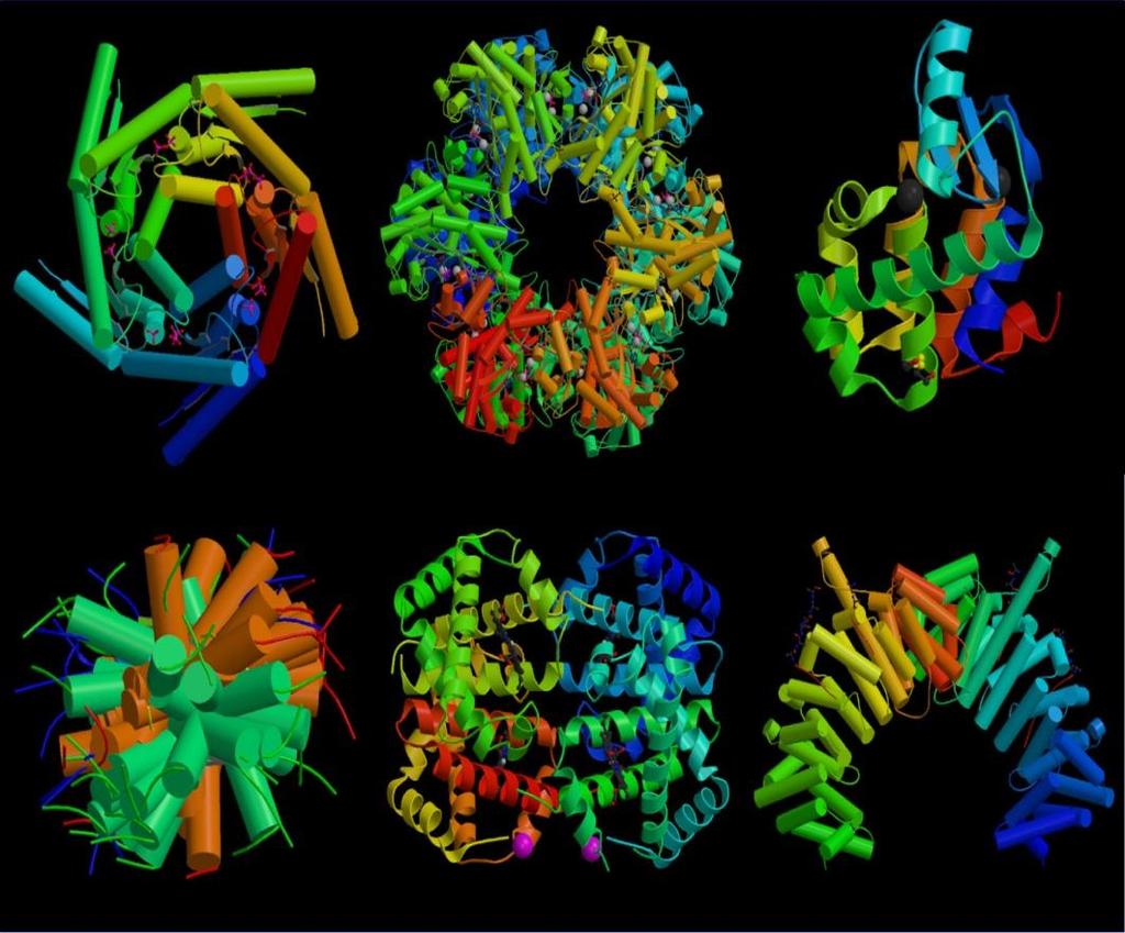 Polymer Protein Structure of Proteins Also called polypeptide Each protein has a different arrangement of